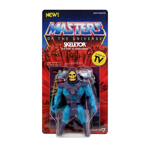Masters of the Universe Skeletor 5 1/2-Inch Action Figure